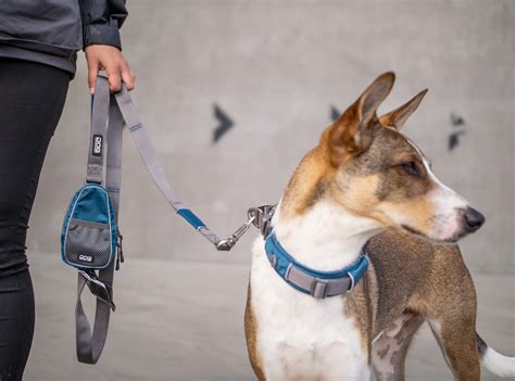 DOG Copenhagen Comfort Walk Air Harness