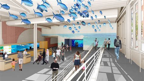 Maritime Aquarium at Norwalk by Beyer Blinder Belle - Architizer