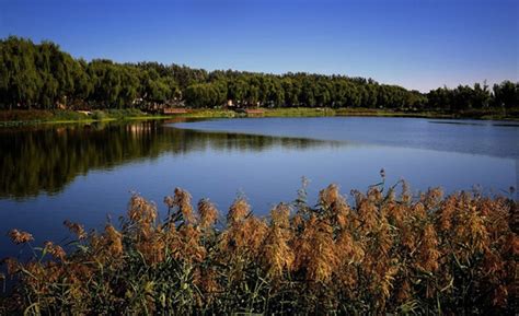 Green Lake Park Photo, Green Lake Park Photos, Kunming Picture, Kunming Pictures