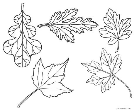 Free Printable Leaf Coloring Pages For Kids | Cool2bKids