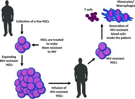 Hematopoietic-Stem-Cell-Based Gene Therapy for HIV Disease: Cell Stem Cell