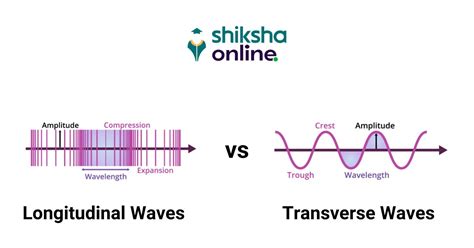 Difference Between Longitudinal and Transverse Waves - Shiksha Online