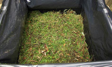 How to Use Grass Clippings In the Garden - Epic Gardening