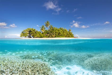 Download Ocean Tropical Under Night In-Birth Coral Nature Island 4k ...