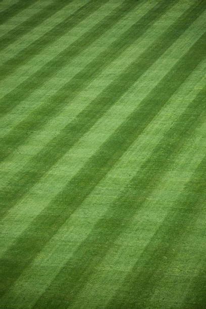 3,100+ Baseball Field Grass Pictures Stock Photos, Pictures & Royalty ...