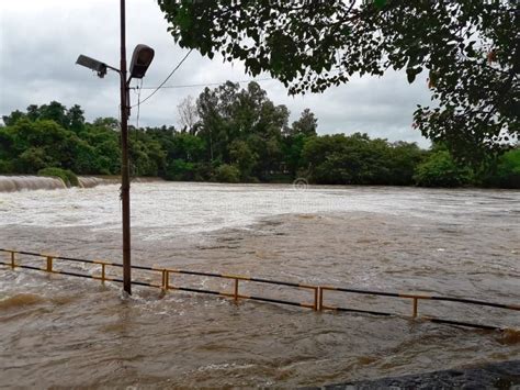 River Overflow Caused by Torrential Rains and Climate Change Stock Photo - Image of dirty ...