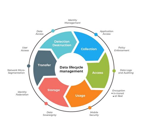 Data Management: 5 Reasons Why It Is Important to Any Industry