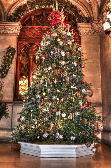 Biltmore Christmas Tree Photograph by Carol R Montoya