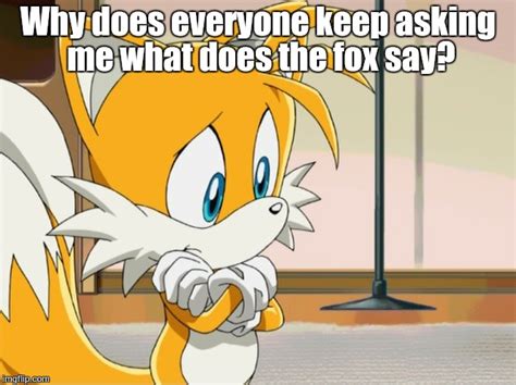 What Does The Two Tailed Fox Say? - Imgflip