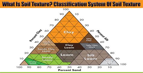 What Is Soil Texture? Classification System Of Soil Texture ...