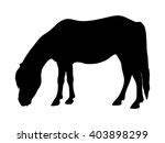 Pony Silhouette Noire Photo stock libre - Public Domain Pictures