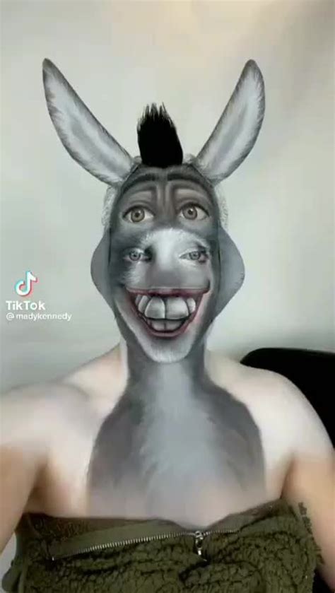 Perfect Donkey Makeup : r/ScarierEveryLoop