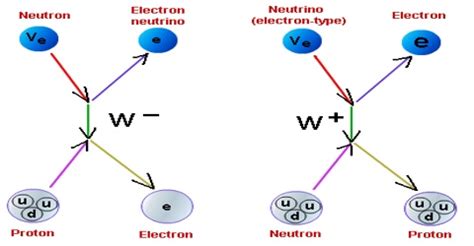 Weak Nuclear Force: Definition in Dynamics - QS Study