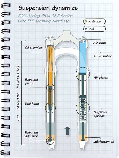 Most, but not all, forks have dedicated legs (left or right) housing ...