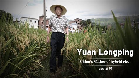 Yuan Longping, China's 'father of hybrid rice,' dies at 91 - CGTN