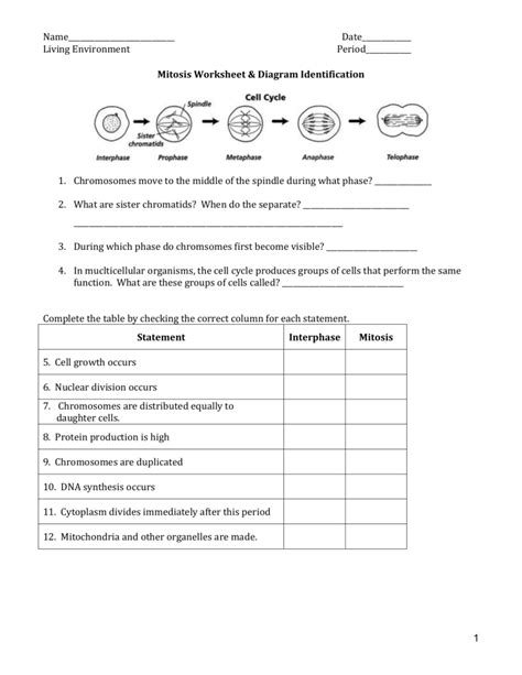 Mitosis Worksheet (1)