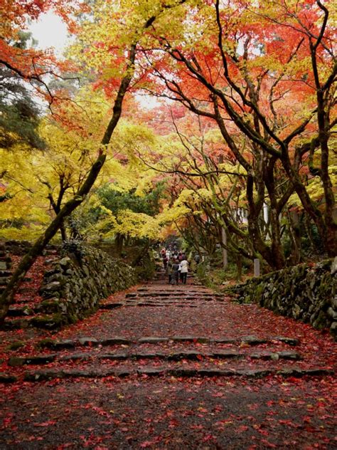 eastcoastlife: Colours of Fall in Japan - PhotoHunt