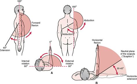 Shoulder Replacement - Atlanta Bone and Joint Specialists