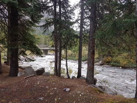 Mosquito Creek Campground - UPDATED 2018 Prices & Reviews (Lake Louise, Alberta) - TripAdvisor