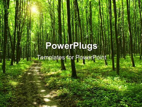 Best Templates: Forest Powerpoint Background