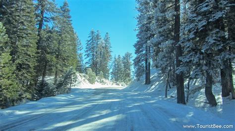 Frazier Park, California - Beautiful trees line up the snow covered road leading towards Chula ...