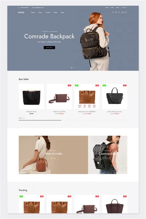 Premium Responsive Magento Theme - ksioks