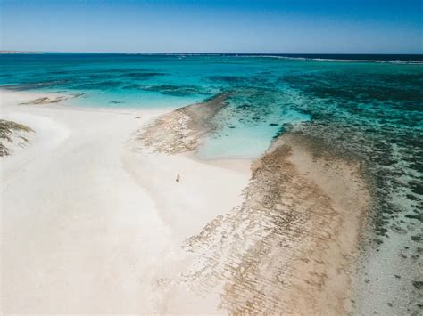 What to do in Coral Bay: 16 TOP things to do in Coral Bay, WA | Escapes Etc