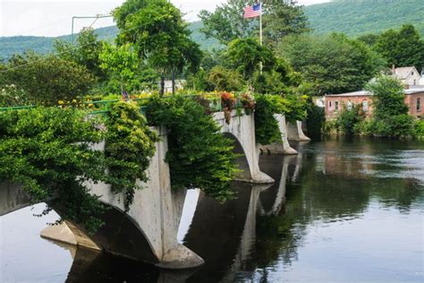 You Need to Add the Bridge of Flowers to Your Bucket List