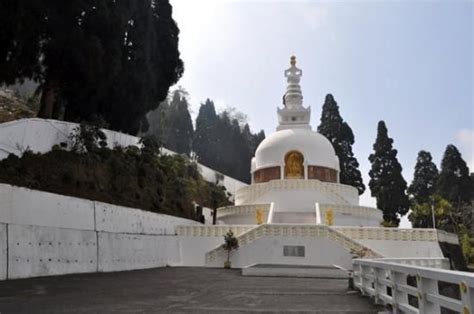 Peace Pagoda in 2024 | Darjeeling, Pagoda, Trip advisor