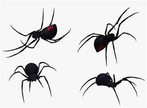 Black Widow Clipart Transparent - Black Widow Drawings Spider Transparent PNG - 1024x645 - Free ...