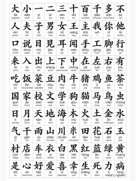 100 most common Chinese characters Poster by suranyami | Chinese language words, Learn chinese ...