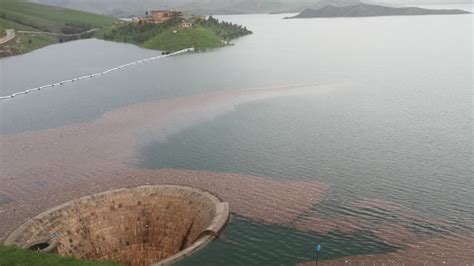 WATCH: Water in Dukan Dam reaches bell-mouth spillway for first time in ...