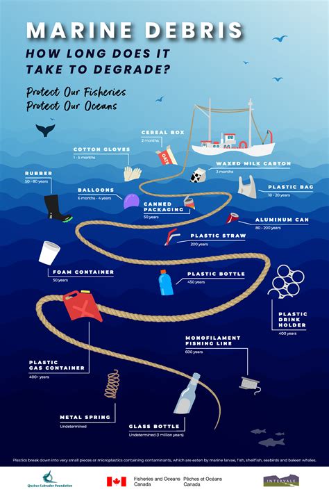 Marine Debris Timeline Poster - Quebec-Labrador Foundation