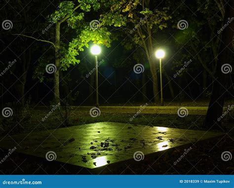 Night park with lights stock image. Image of forest, dark - 2018339