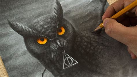 Drawing Owl from Hogwart Harry Potter Art - YouTube