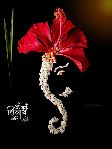 Lord Ganesha, flower, flowers, ganesh, HD phone wallpaper | Peakpx