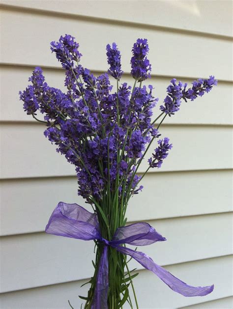 Fresh lavender bouquet…who wouldn't love to get one of these ...