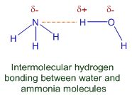 HYDROGEN BONDING