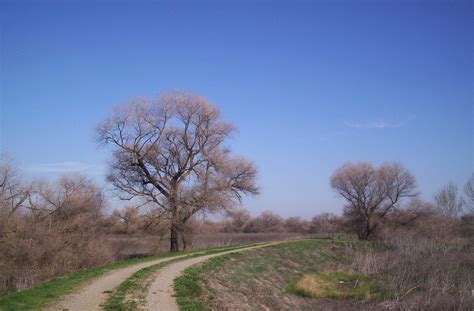 San Luis National Wildlife Refuge | Natural Atlas