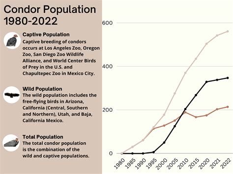 California Condor Population Graph, 1980-2022 | FWS.gov