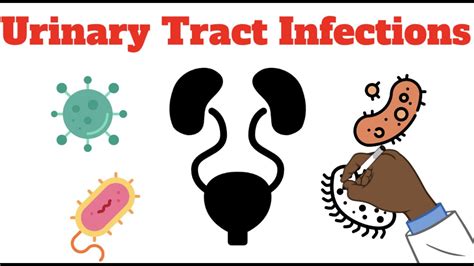 The MOST Common Bacterial Infection - Urinary Tract Infections (UTI ...