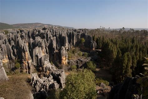 Delegates Take Ancient Tour Through The Stone Forest | Routes