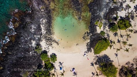 5 Best Big Island Beginner Snorkeling Spots You Shouldn't Miss - The Hawaii Vacation Guide