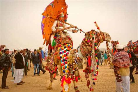 A Complete Guide on Pushkar Camel Fair 2023 | Pushkar Camel Fair Guide 2023