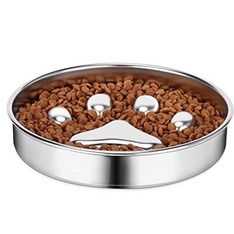 Best Metal Slow Feeder Dog Bowl