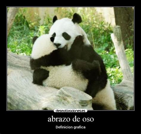 Abrazo de oso panda - Imagui