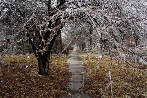 Ice Storm in Michigan Causes Widespread Blackouts - Bloomberg