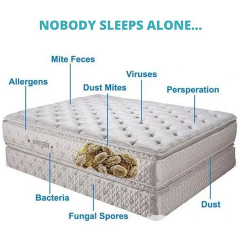 Dust Mites in Mattresses Can Cause Allergies | MyEssentia.ca – Essentia Organic Mattress - CANADA