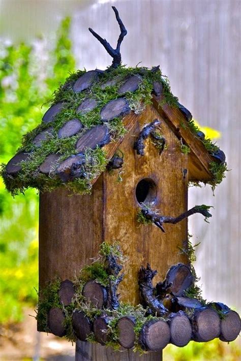 17 Best images about Birdhouse ideas on Pinterest | Gardens, Painted birds and Bird feeders