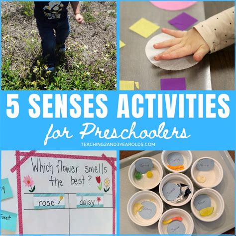 Activities Using the 5 Senses